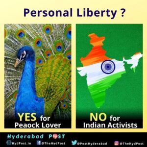 Read more about the article Personal Liberty? Yes, for Peacock Lovers and No for Indian Activists