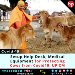 Read more about the article Setup Help Desk, Medical Equipment for Protecting Cows from Covid-19: UP CM
