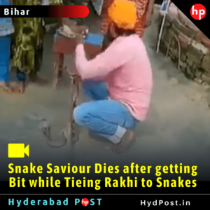 Read more about the article Snake Saviour Dies after getting Bit while Tieing Rakhi to Snakes