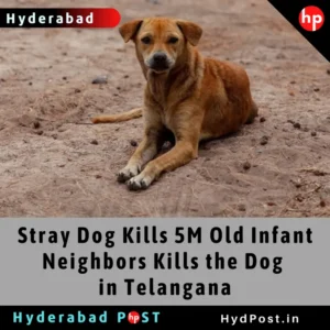 Read more about the article Stray Dog Kills 5M Old Infant; Neighbors Kill the Dog in Telangana