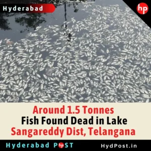 Read more about the article Around 1.5 Tonnes Fish Found Dead in Lake Sangareddy Dist, Telangana