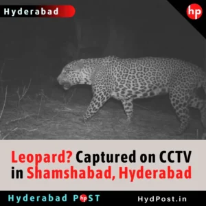 Read more about the article Leopard? Captured on CCTV in Shamshabad, Hyderabad