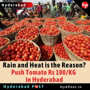 Read more about the article Rain and Heat is the Reason? Push Tomato Rs 100/KG in Hyderabad