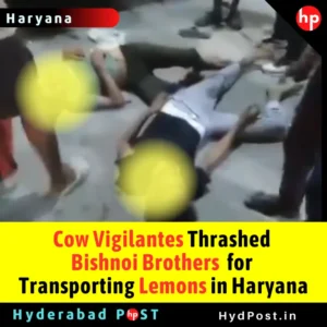 Read more about the article Cow Vigilantes Thrashed Bishnoi Brothers for Transporting Lemons in Haryana