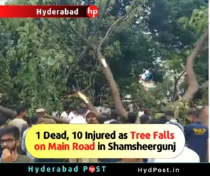 Read more about the article 1 Dead, 10 Injured  as Tree Falls on Main Road in Shamsheergunj, Hyderabad
